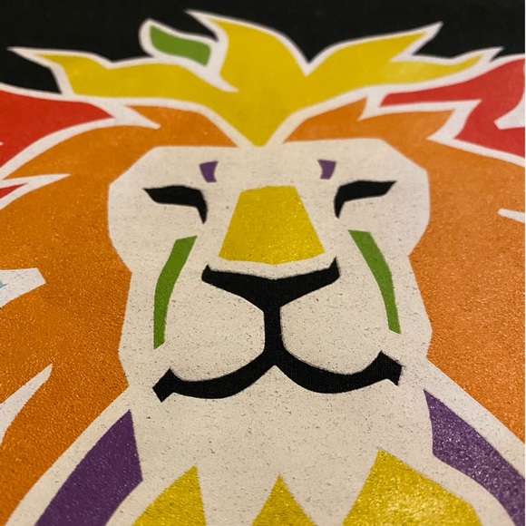 San Diego Zoo Centennial Sweatshirt - Picture 4 of 5